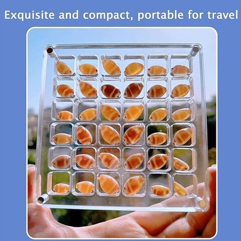 Acrylic Magnetic Seashell Display Box, Clear Gemstones Beads Storage Display Box