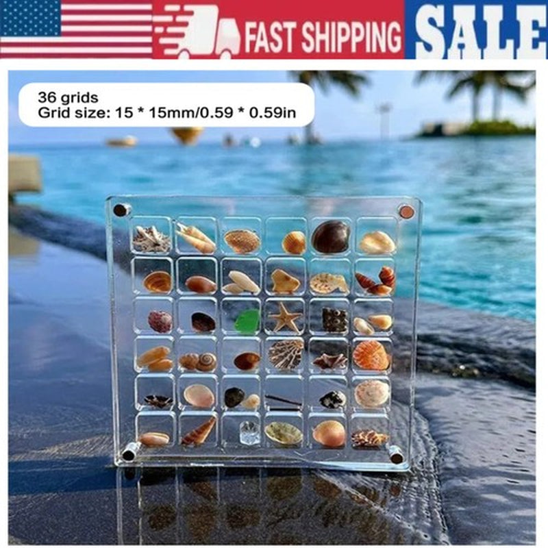 Acrylic Magnetic Seashell Display Box, Clear Gemstones Beads Storage Display Box