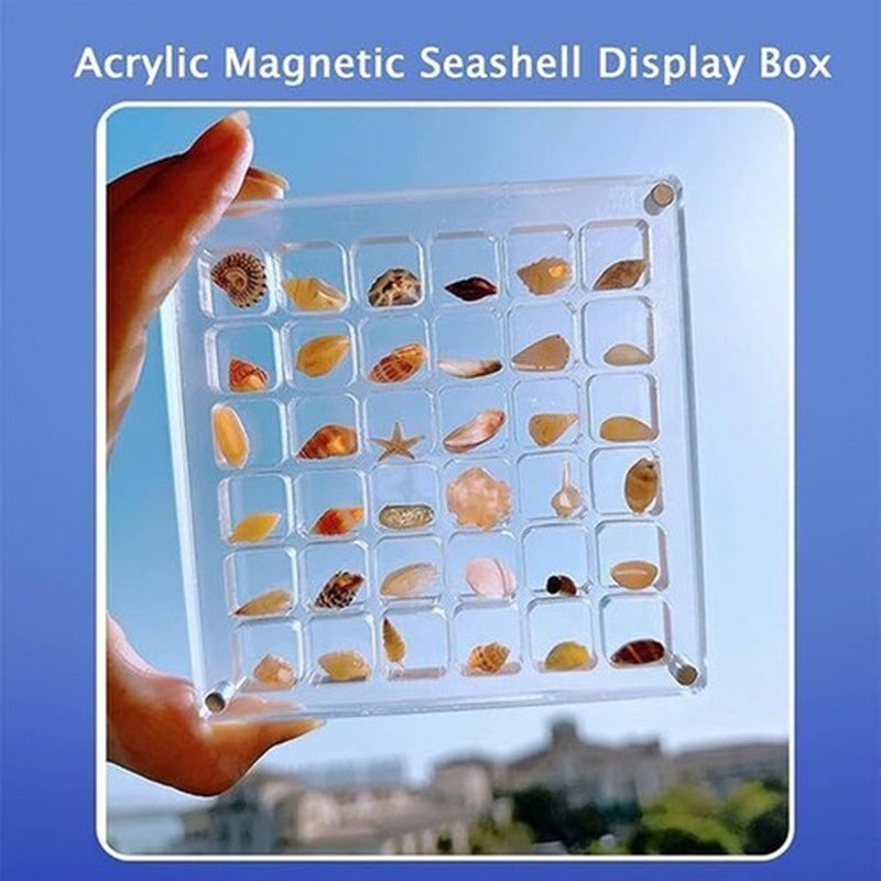Acrylic Magnetic Seashell Display Box, Clear Gemstones Beads Storage Display Box