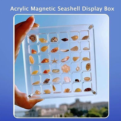 Acrylic Magnetic Seashell Display Box, Clear Gemstones Beads Storage Display Box