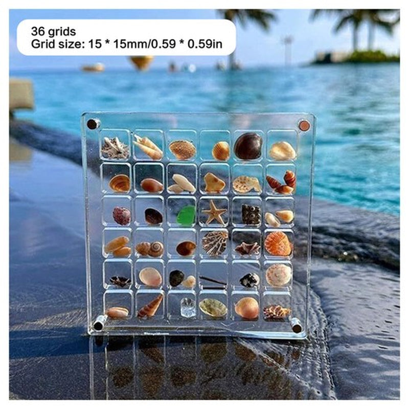 Acrylic Magnetic Seashell Display Box, Clear Gemstones Beads Storage Display Box