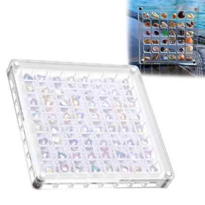 Acrylic Magnetic Seashell Display Box, Clear Gemstones Beads Storage Display Box