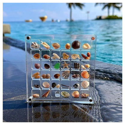 Acrylic Magnetic Seashell Display Box, Clear Gemstones Beads Storage Display Box